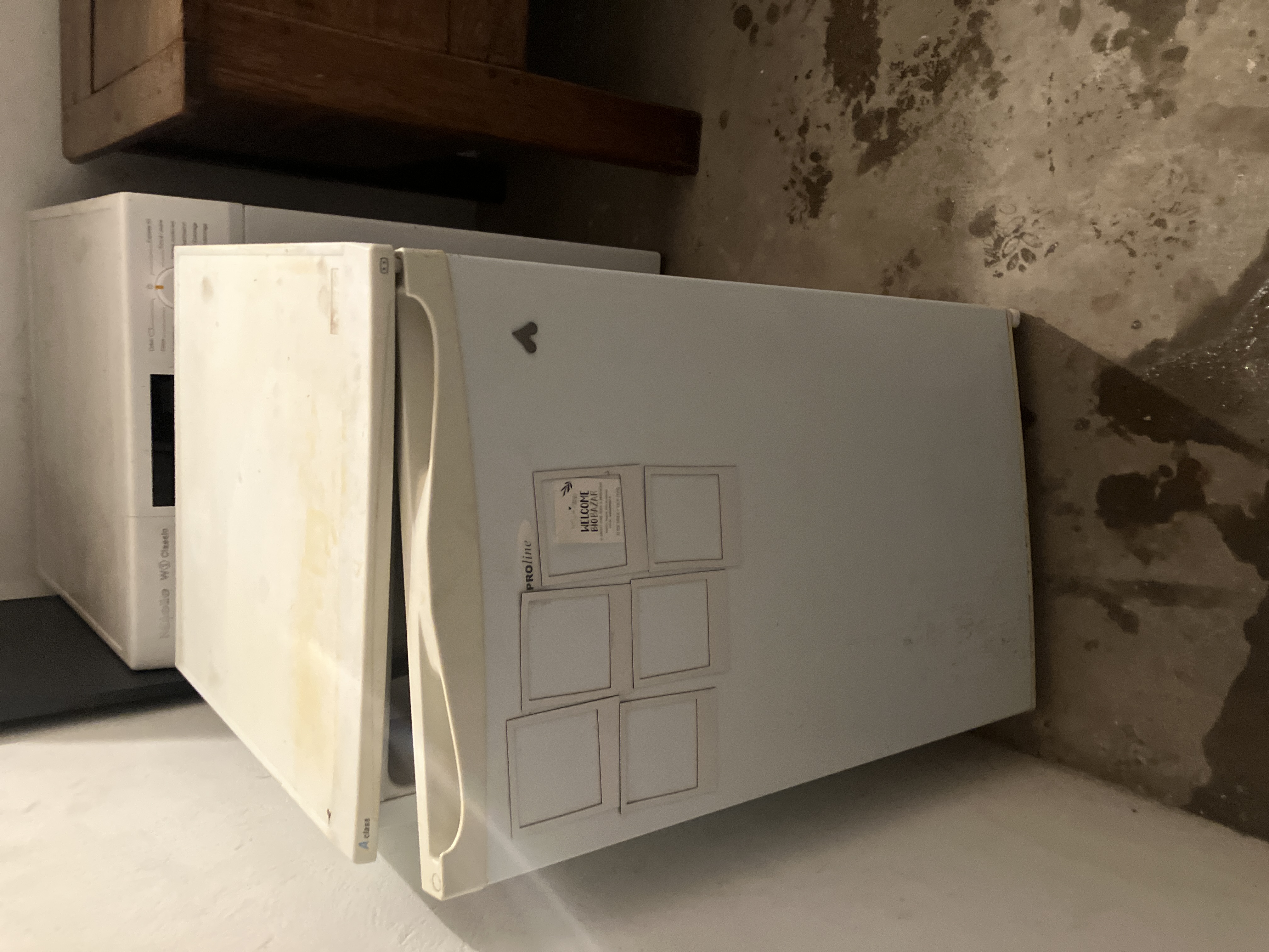 Frigo bas